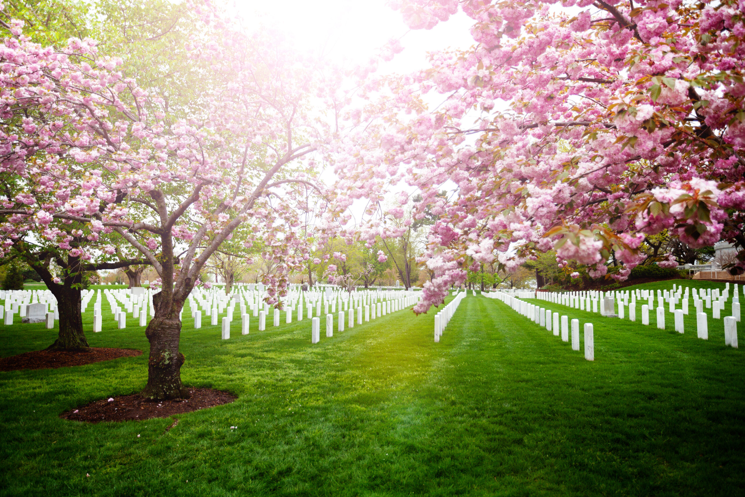 Creating a Lasting Tribute with a Memorial Flag Display Case